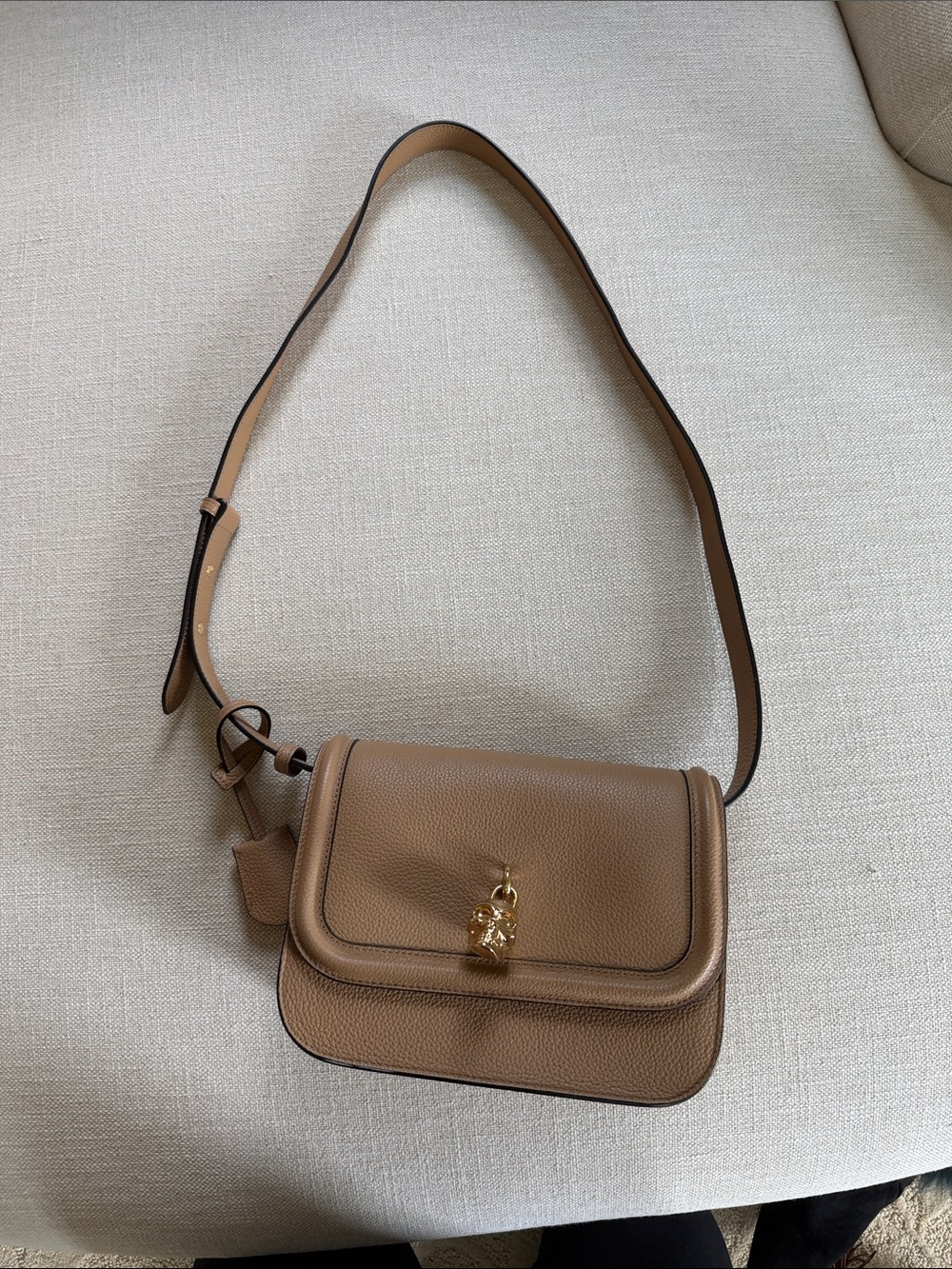 NWT Alexander McQueen skull padlock crossbody bag - Picture 7 of 7